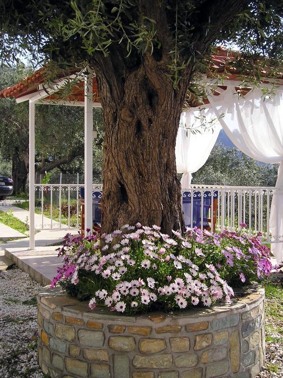 Golden Beach Inn Хриси-Амудия Номер фото